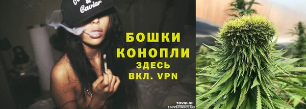тгк Богданович