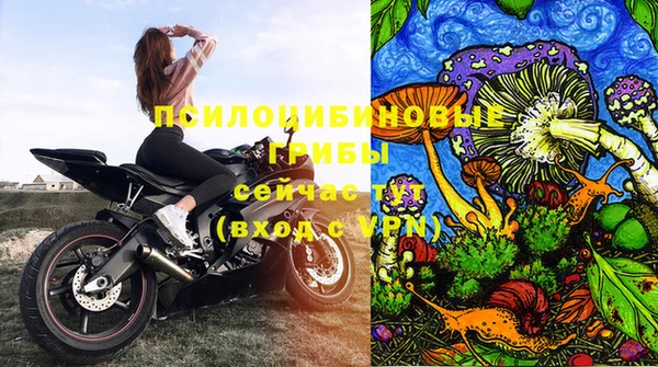 кокс Богородицк