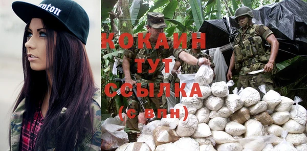 кокс Богородицк