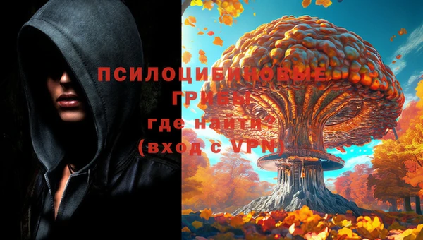тгк Богданович