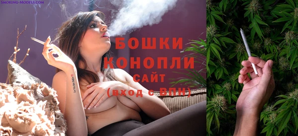 дурь Богородск