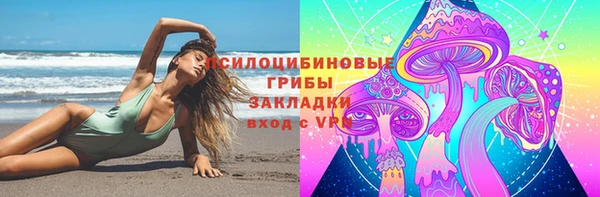 дурь Богородск
