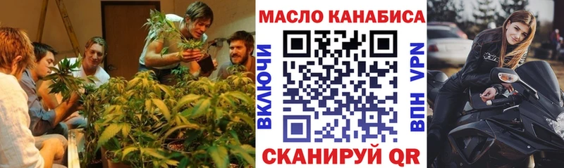Дистиллят ТГК гашишное масло МЕГА даркнет формула Кострома