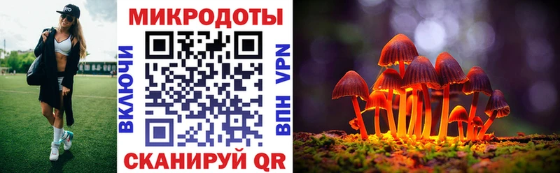 MEGA зеркало  Кострома  Галлюциногенные грибы прущие грибы 